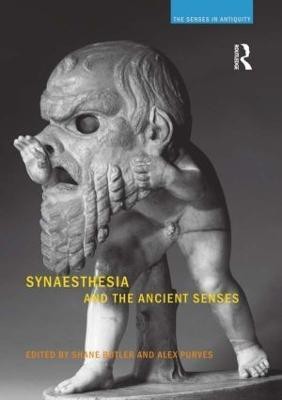 Synaesthesia and the Ancient Senses(English, Paperback, unknown)