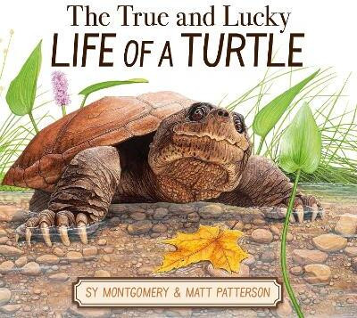 The True and Lucky Life of a Turtle(English, Hardcover, Montgomery Sy)