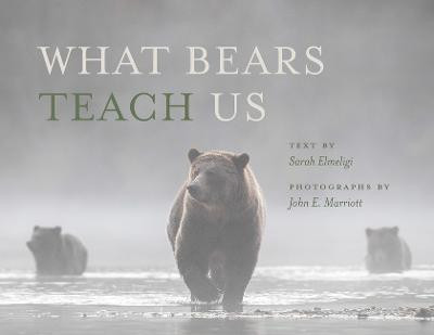 What Bears Teach Us(English, Paperback, Elmeligi Sarah)