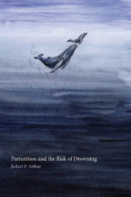 Parturition and the Risk of Drowning(English, Paperback, Arthur Robert P)