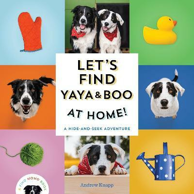 Let's Find Yaya and Boo at Home!(English, Board book, Knapp Andrew)