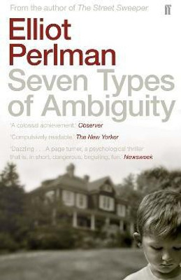 Seven Types of Ambiguity(English, Paperback, Perlman Elliot)
