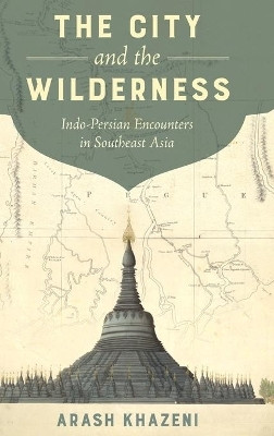 The City and the Wilderness(English, Hardcover, Khazeni Arash)