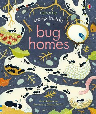 Peep Inside Bug Homes(English, Board book, Milbourne Anna)