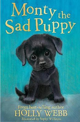 Monty the Sad Puppy(English, Paperback, Webb Holly)