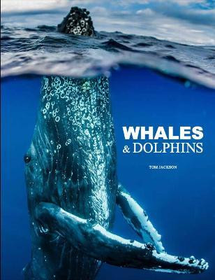 Whales & Dolphins(English, Hardcover, Jackson Tom)