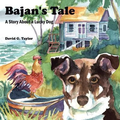 Bajan's Tale(English, Paperback, Taylor David G.)