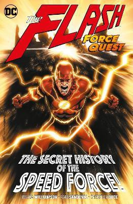 Flash Volume 10(English, Paperback, Williamson Joshua)