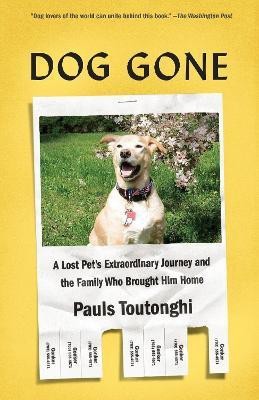 Dog Gone(English, Paperback, Toutonghi Pauls)