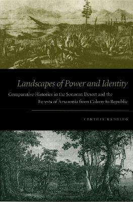 Landscapes of Power and Identity(English, Paperback, Radding Cynthia)