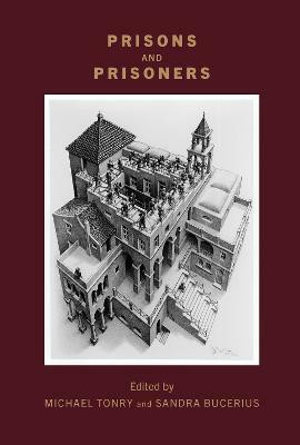 Crime and Justice, Volume 51: Volume 51(English, Paperback, unknown)
