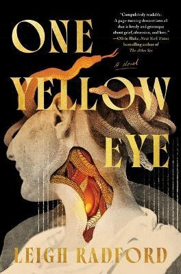 One Yellow Eye(English, Hardcover, Radford Leigh)