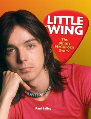 Little Wing(English, Hardcover, Salley Paul)