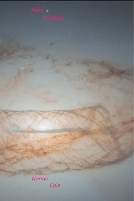 Alibi Lullaby(English, Paperback, Cole Norma)