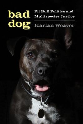 Bad Dog(English, Hardcover, Weaver Harlan)