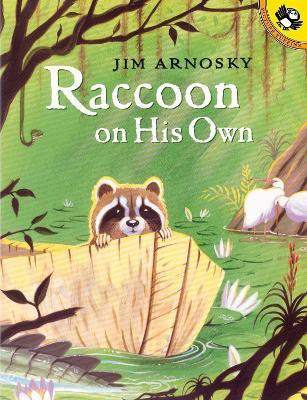Raccoon On His Own(English, Paperback, Arnosky Jim)