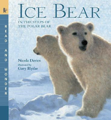 Ice Bear: In the Steps of the Polar Bear(English, Paperback, Davies Nicola)