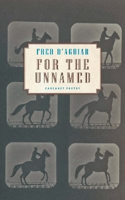 For the Unnamed(English, Paperback, D'Aguiar Fred)