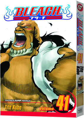 Bleach, Vol. 41(English, Paperback, Kubo Tite)