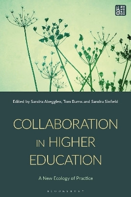 Collaboration in Higher Education(English, Paperback, unknown)