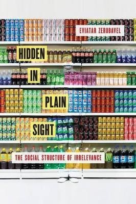 Hidden in Plain Sight(English, Paperback, Zerubavel Eviatar)