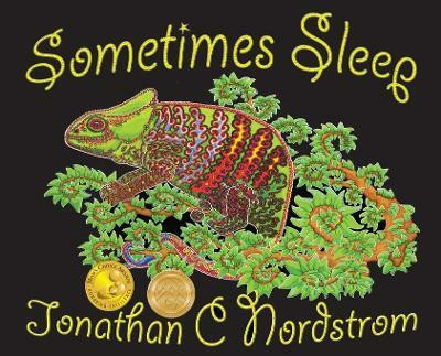 Sometimes Sleep(English, Hardcover, Nordstrom Jonathan)
