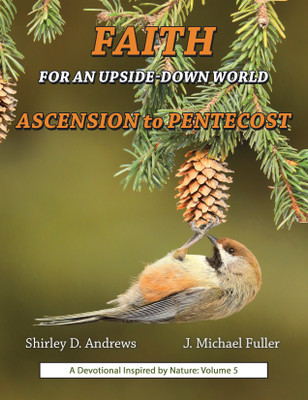 Faith for an Upside-Down World(English, Paperback, Andrews Shirley D)