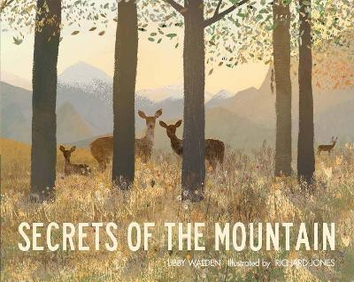 Secrets of the Mountain(English, Paperback, Walden Libby)