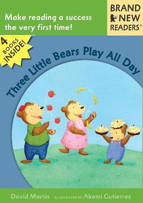 Three Little Bears Play All Day(English, Paperback, Martin David)