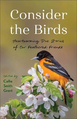 Consider the Birds(English, Paperback, unknown)