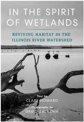 In the Spirit of Wetlands(English, Paperback, unknown)