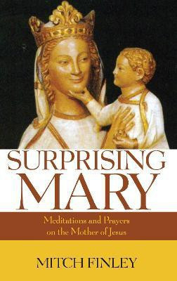 Surprising Mary(English, Paperback, Finley Mitch)