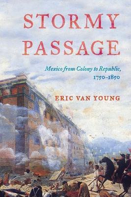 Stormy Passage(English, Paperback, Van Young Eric)