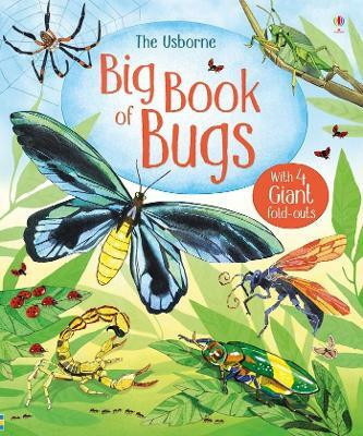 Big Book of Bugs(English, Hardcover, Bone Emily)