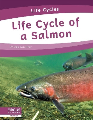 Life Cycle of a Salmon(English, Paperback, Gaertner Meg)
