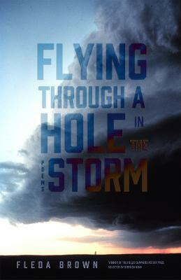 Flying Through a Hole in the Storm(English, Paperback, Brown Fleda)