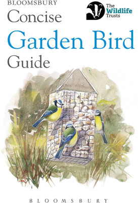 Concise Garden Bird Guide(English, Paperback, Bloomsbury)