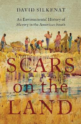 Scars on the Land(English, Hardcover, Silkenat David)
