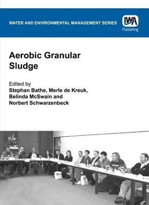 Aerobic Granular Sludge(English, Paperback, unknown)