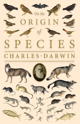 On the Origin of Species;Or; The Preservation of the Favoured Races in the Struggle for Life(English, Paperback, Darwin Charles)