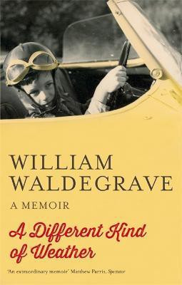 A Different Kind Of Weather(English, Paperback, Waldegrave William)