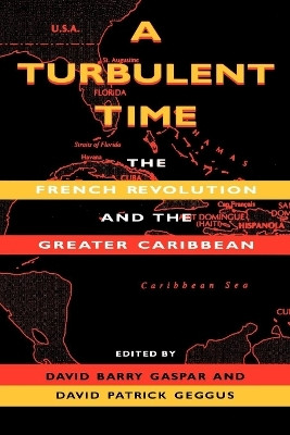 A Turbulent Time(English, Paperback, unknown)