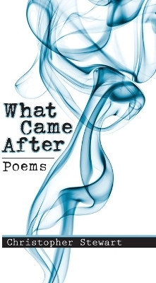 What Came After(English, Paperback, Stewart Christopher)