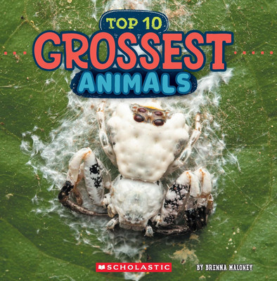 Grossest Animals (Wild World: Top 10)(Paperback, Brenna Maloney)