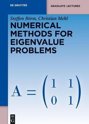 Numerical Methods for Eigenvalue Problems(English, Hardcover, Boerm Steffen)