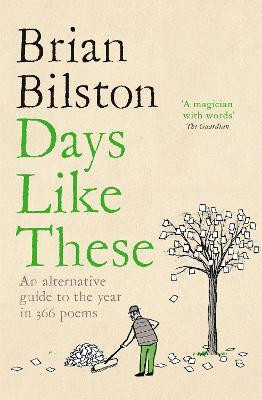 Days Like These(English, Paperback, Bilston Brian)