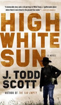 High White Sun(English, Paperback, Scott J. Todd)