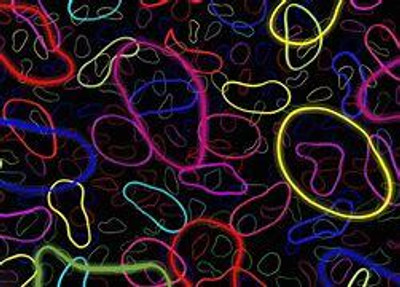 String Theory: Volume 2, Superstring Theory and Beyond(English, Electronic book text, Polchinski Joseph)