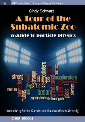 A Tour of the Subatomic Zoo(English, Paperback, Schwarz Cindy)