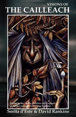 Visions of the Cailleach(English, Paperback, D'Este Sorita)